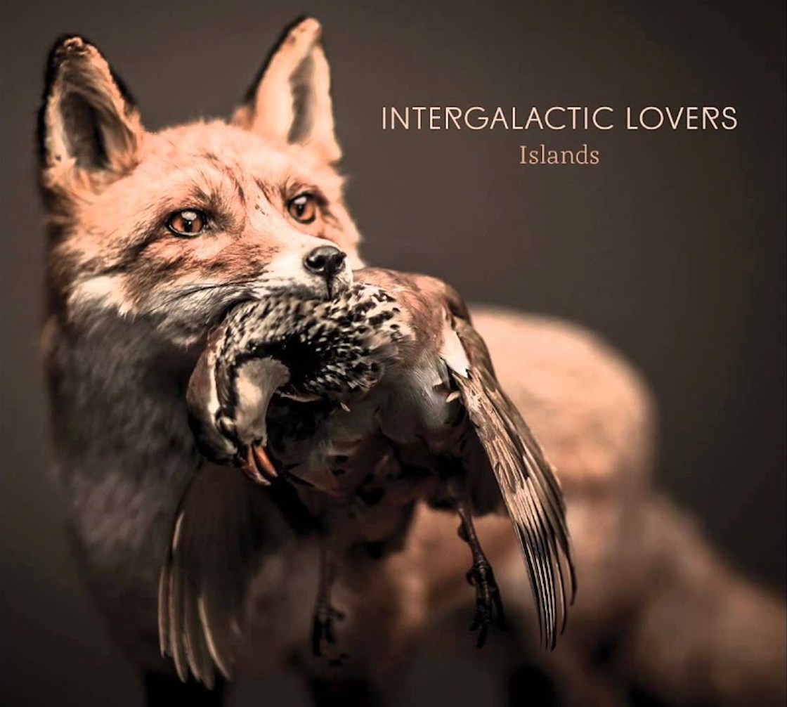 Intergalactic Lovers - Island