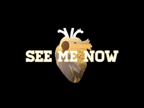 The Kooks - See Me Now
