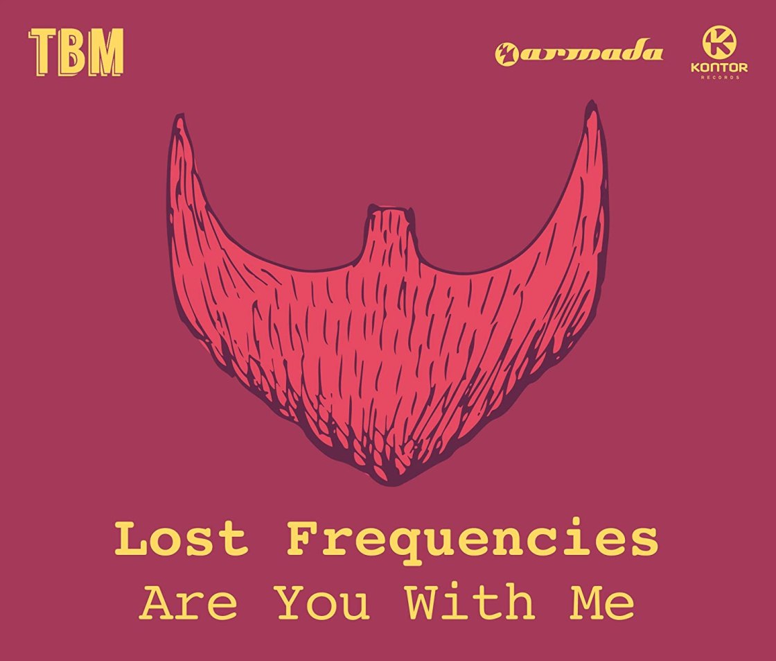 Lost Frequencies - Are You With Me