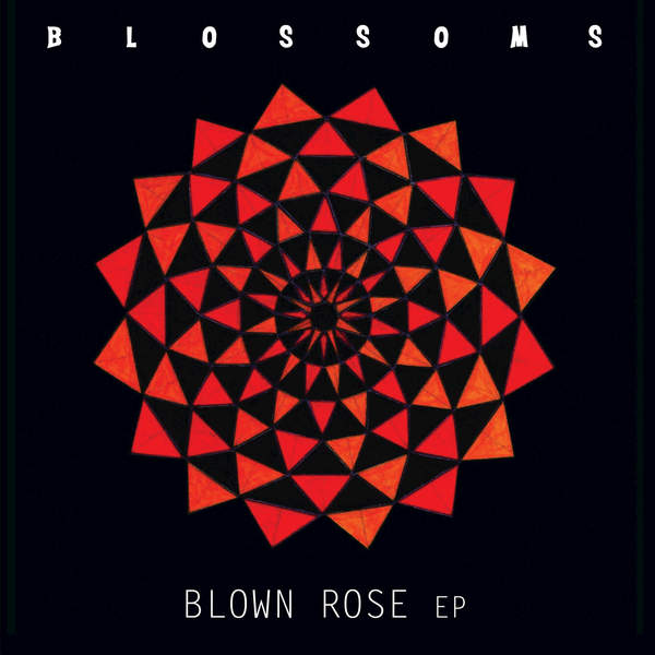 Blossoms - Blown Rose