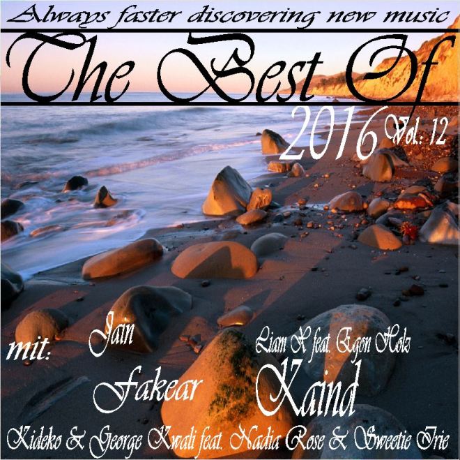The Best Of 2016 Vol.: 12