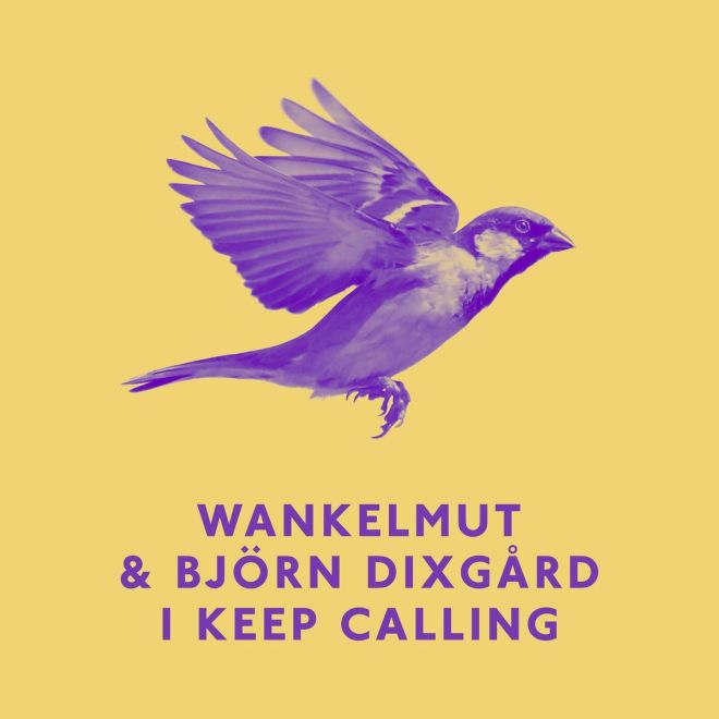 Wankelmut & Björn Dixgård - I Keep Calling