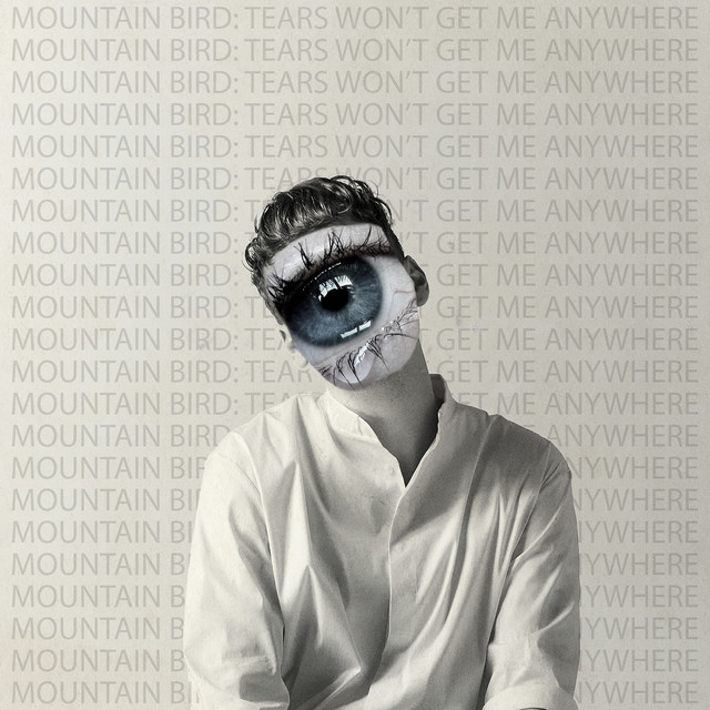 Mountain Bird - Tears Won't Get My Anywhere