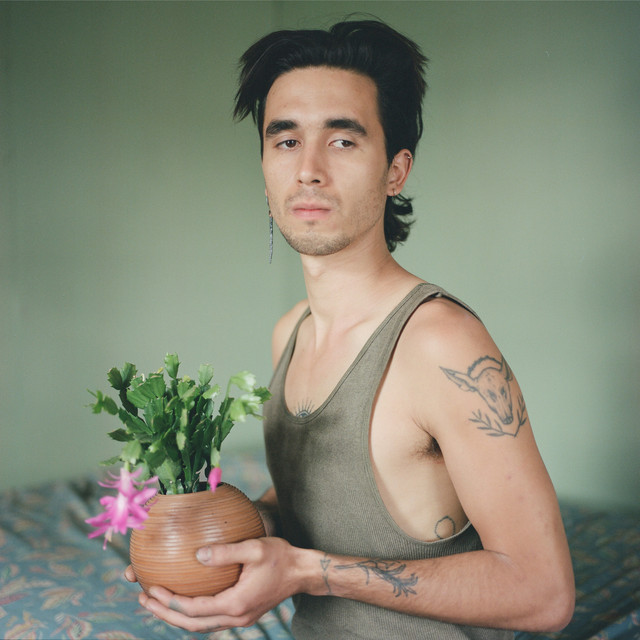 People Museum - Whole Heart