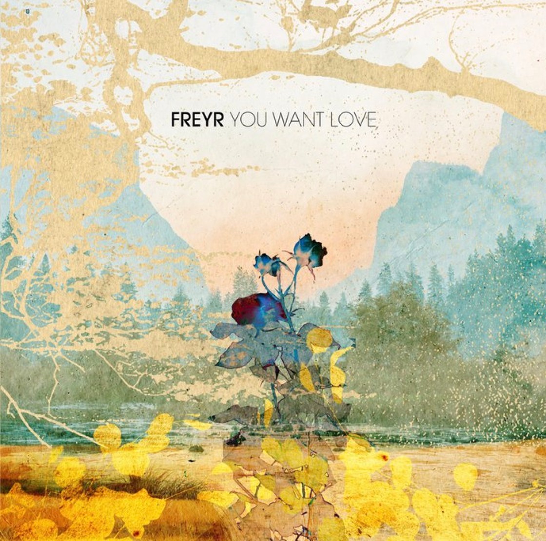 Freyr - You Want Love