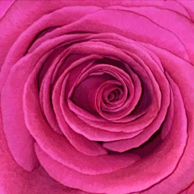 Bilderbuch - Nahuel Huapi