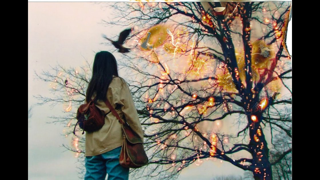 Parra For Cuva - Manila Palm