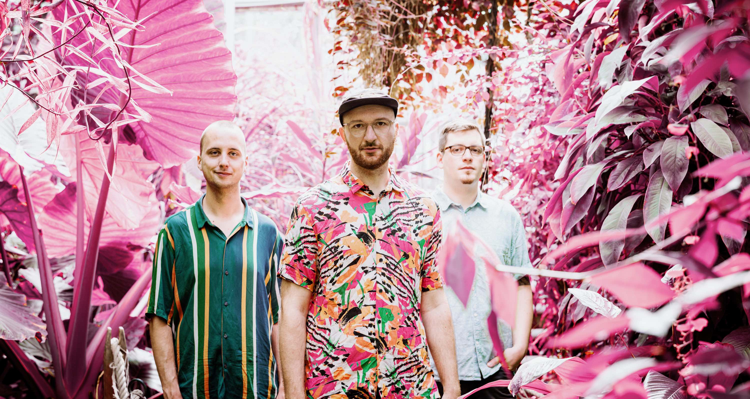 No King. No Crown. Pic Tom Nachbar