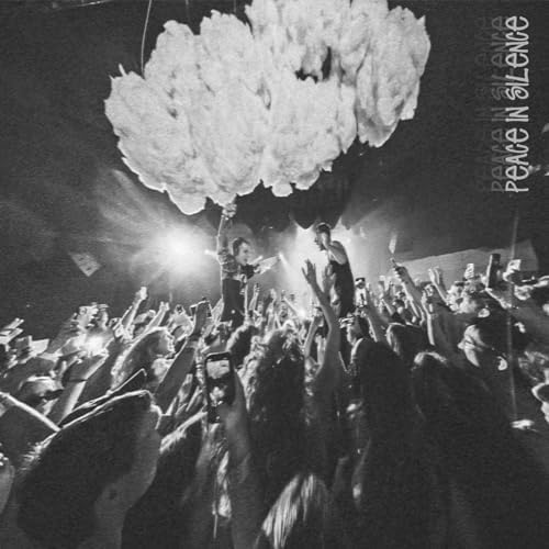 BUNT. & Nate Traveller - Peace In Silence