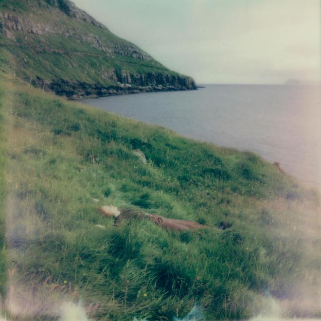 Axel Flóvent - Have This Dance