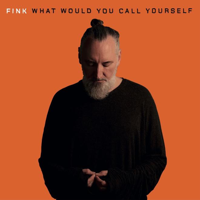 Fink - What Would You Call Yourself