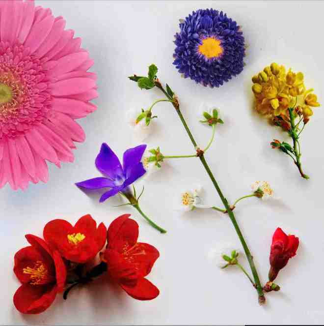 Chris James - Do You Feel This Way?