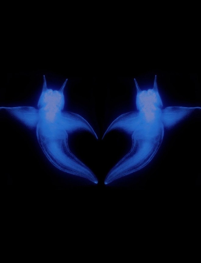 Danny L Harle feat. Dua Lipa - Two Hearts